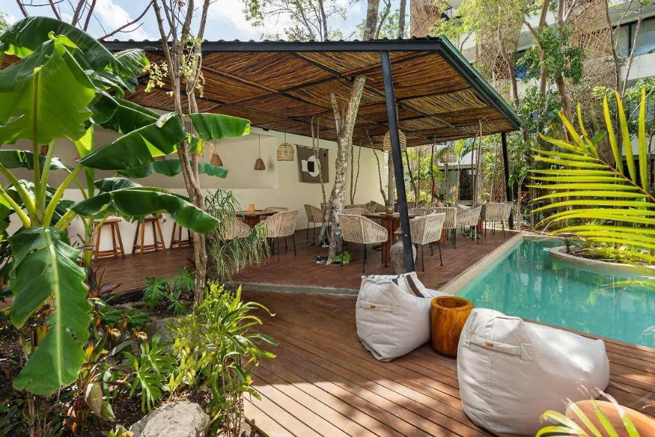 Dk Jade 30 By Sandy Powerful Tulum Apartment