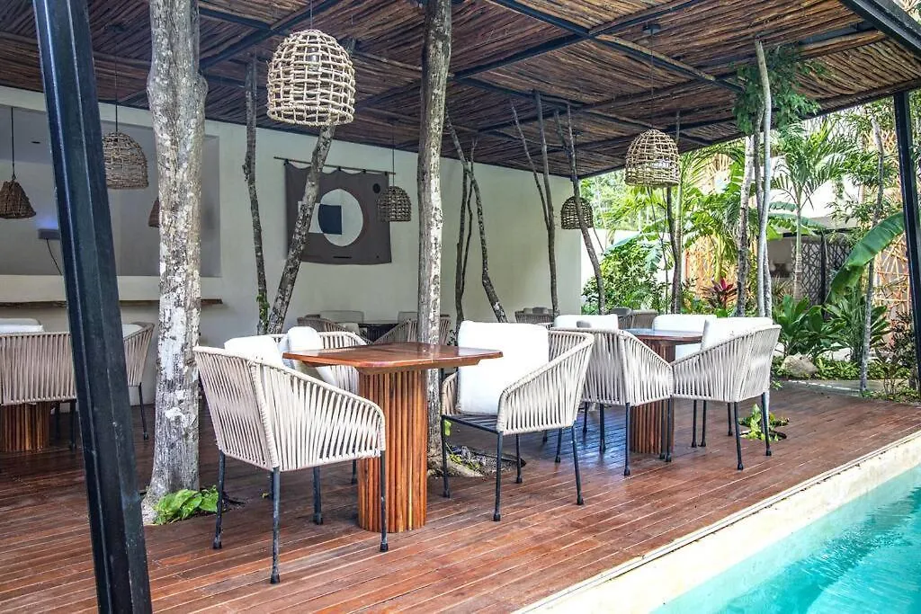 Dk Jade 30 By Sandy Powerful Tulum Apartment